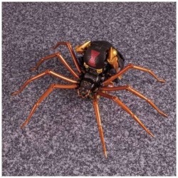 Transformers Masterpiece MP-46 Beast Wars Blackarachnia